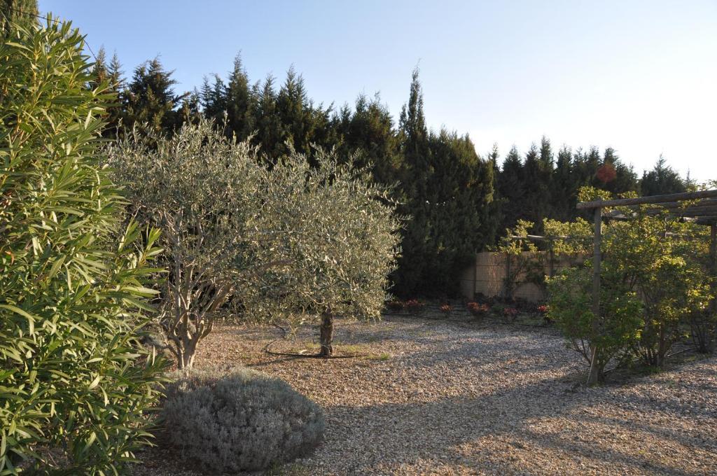 La Maison De Line Saint-Rémy-de-Provence 외부 사진