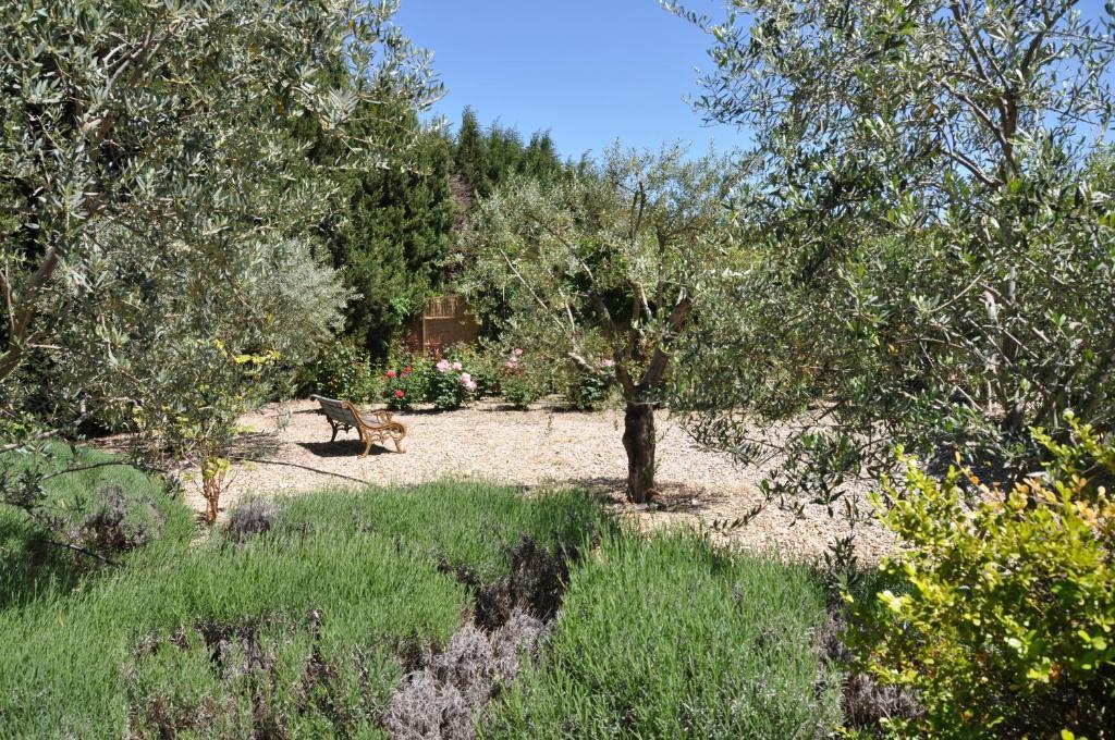 La Maison De Line Saint-Rémy-de-Provence 외부 사진