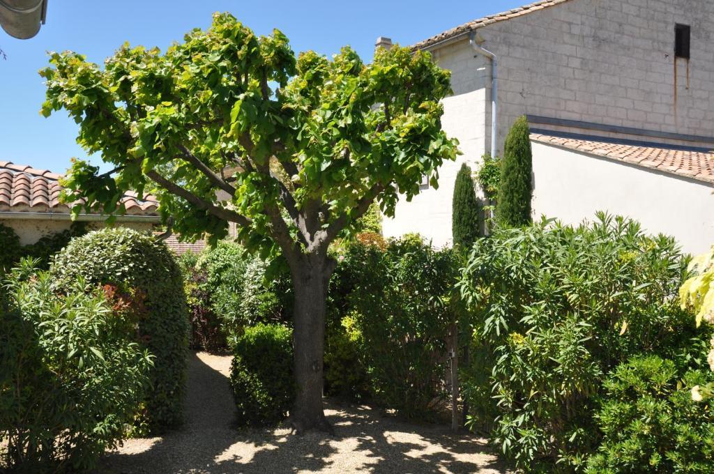 La Maison De Line Saint-Rémy-de-Provence 외부 사진